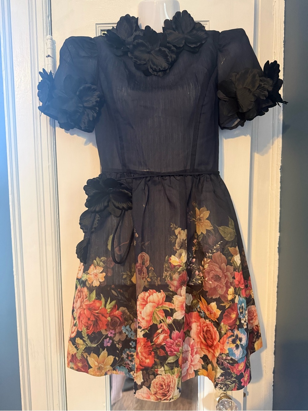 NWT Eb Luxe Lola B Couture Sheer Organza 3D Rosette Floral Mock Neck Dress Snall